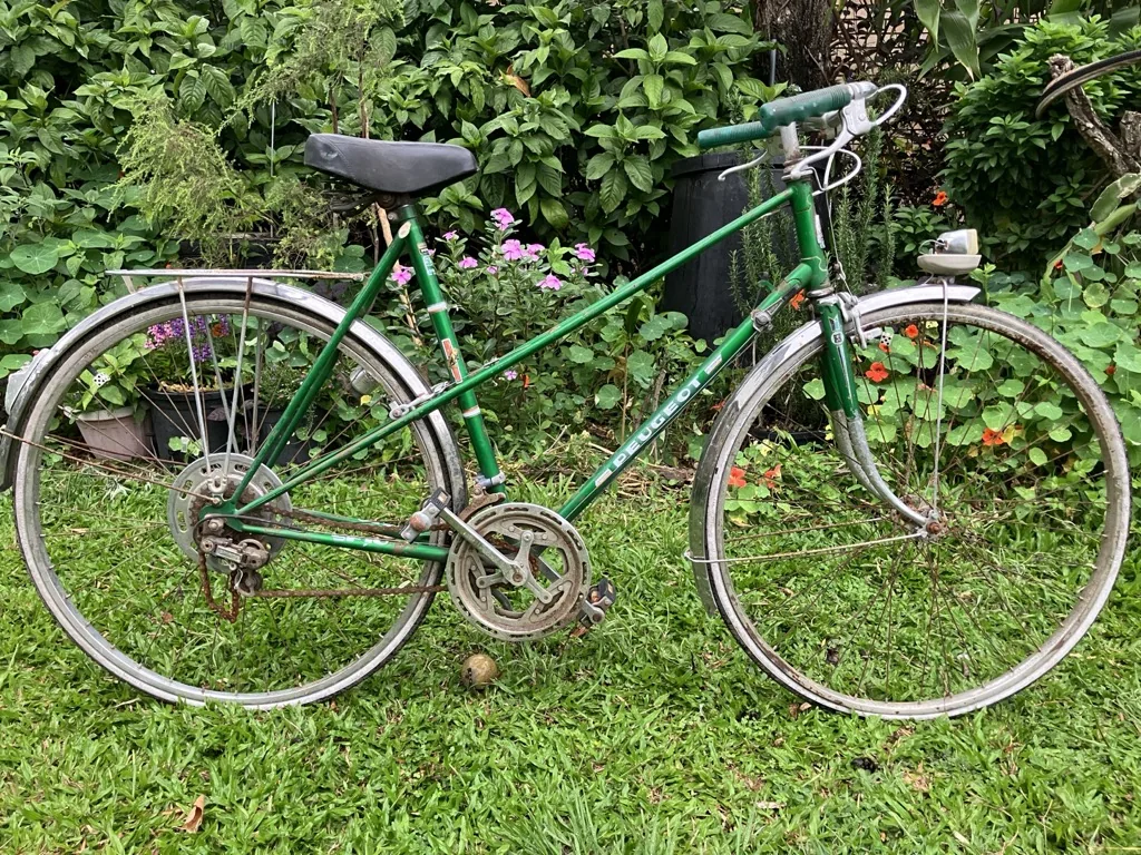 Basikal Peugeot SF-10 mixte warna hijau di atas rumput, sebelum dibaiki